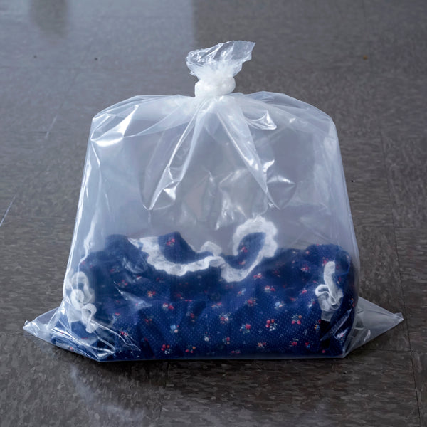 Ghislaine Leung: Renaissance Society Edition