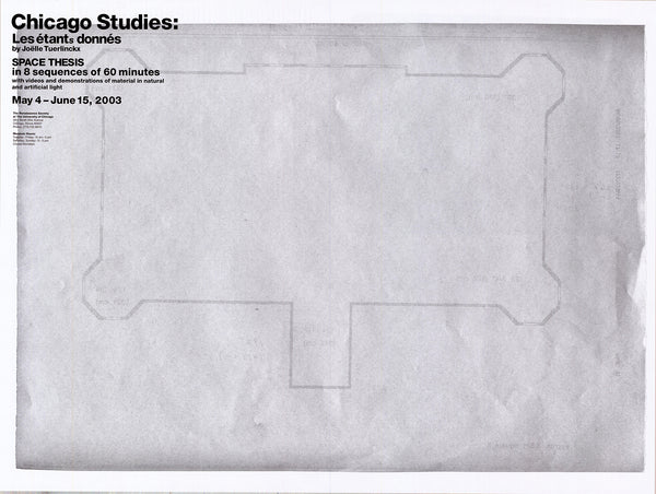 Joelle Tuerlinckx: Chicago Studies: Les etants donnes