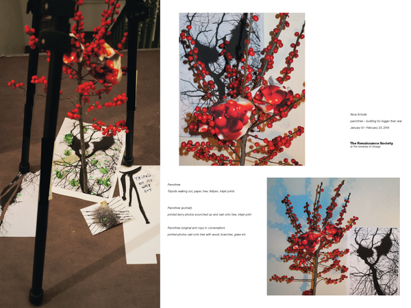 Norah Schultz: parrottree -- building for bigger than real