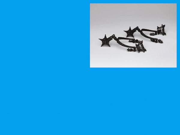 Mathias Poledna Signed Poster