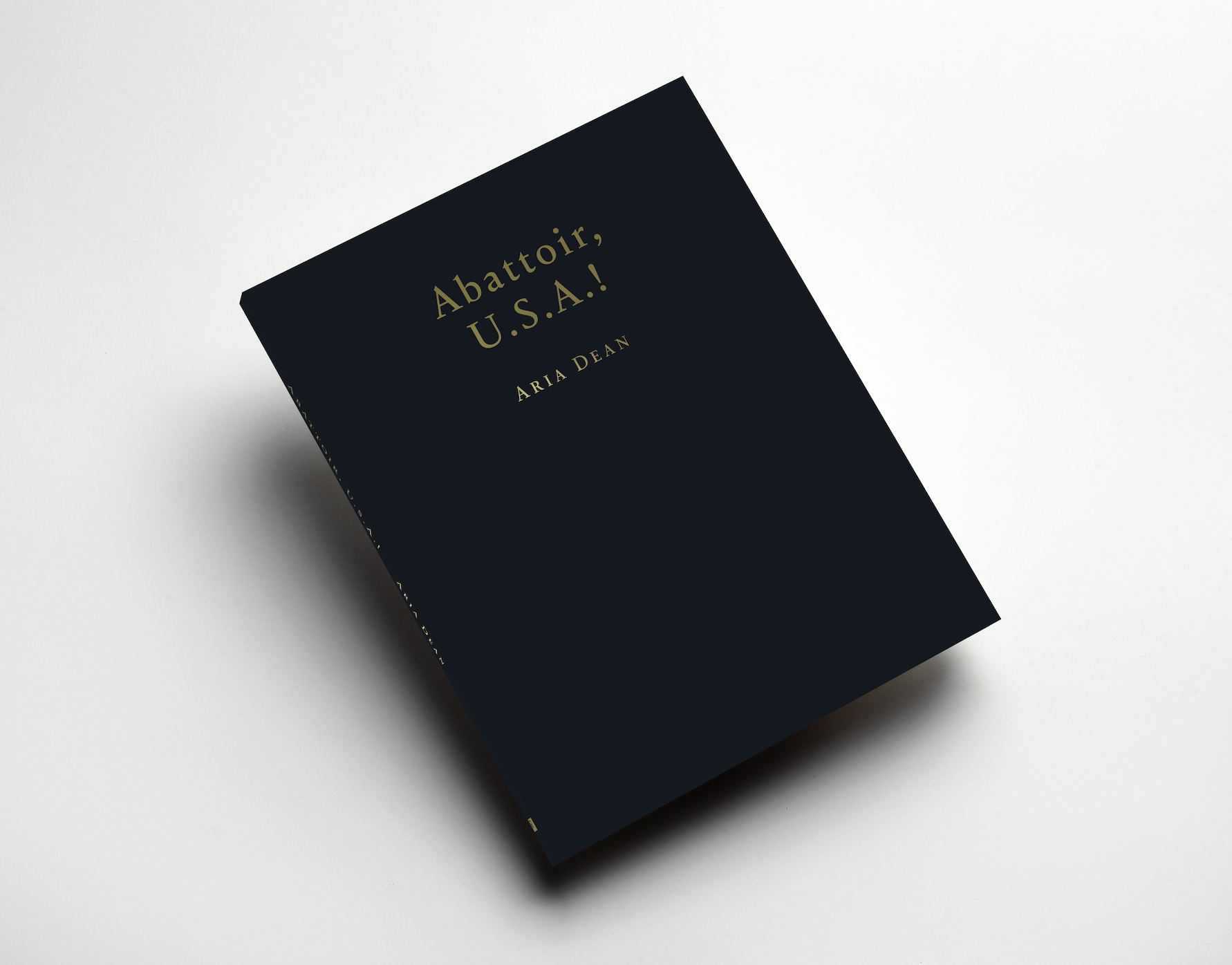 Publications | The Renaissance Society